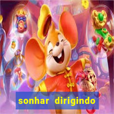 sonhar dirigindo carro jogo do bicho