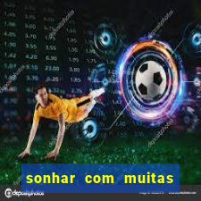 sonhar com muitas formigas juntas jogo do bicho