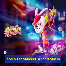 como reconhecer o lobisomem