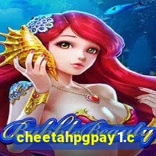 cheetahpgpay1.com