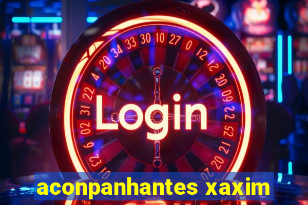 aconpanhantes xaxim