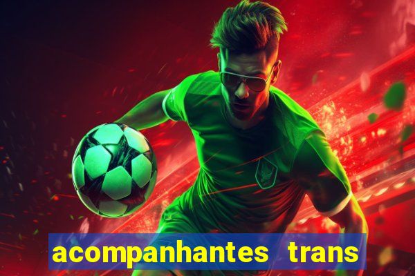 acompanhantes trans baixada fluminense