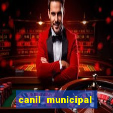 canil municipal porto alegre