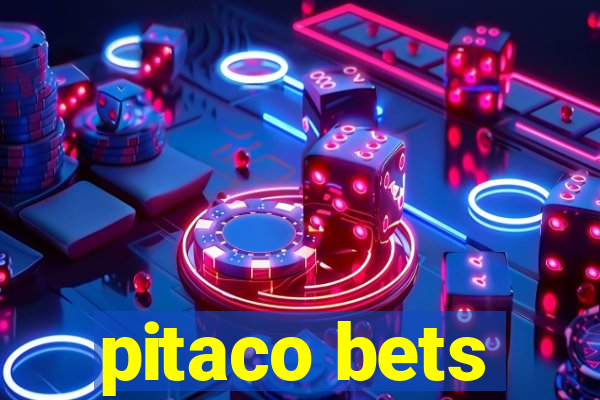 pitaco bets