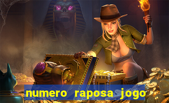 numero raposa jogo do bicho