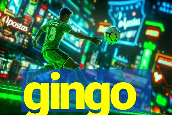 gingo