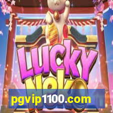 pgvip1100.com